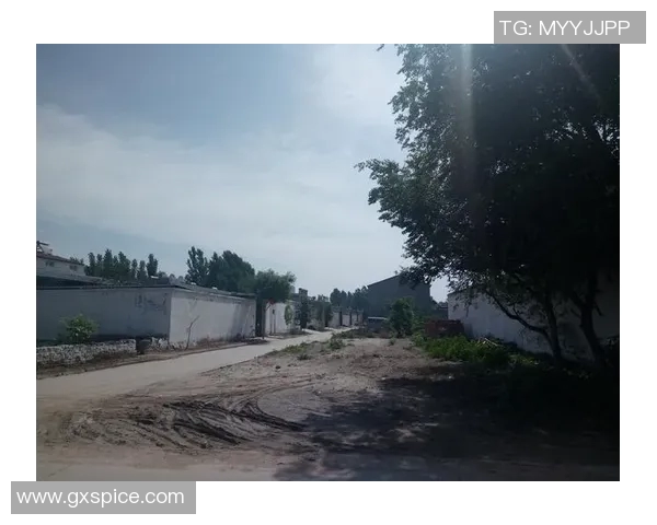 翟晓川：从篮球场的拼搏到人生舞台的精彩转身