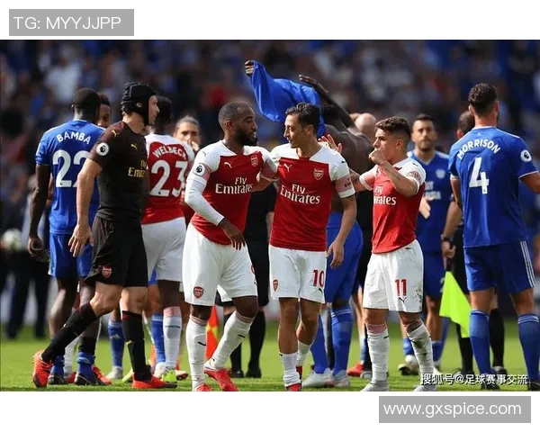 2006年雷丁主场迎战切尔西的精彩比赛回顾与分析