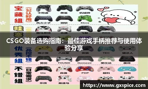 CSGO装备选购指南：最佳游戏手柄推荐与使用体验分享