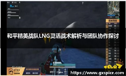 和平精英战队LNG灵活战术解析与团队协作探讨